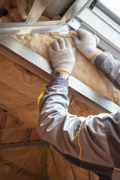 Trusted Penngrove, CA Insulation Contractor Experts