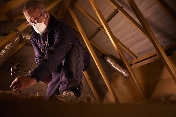 Best Specialized Insulation Services in Penngrove, CA